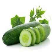 CUCUMBER.