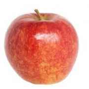 JONAGOLD APPLES