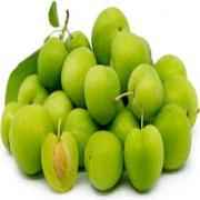 GREEN PLUMS
