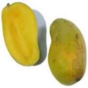 MARATHON MANILLA MANGO