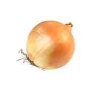 SMALL YELLOW ONIONS