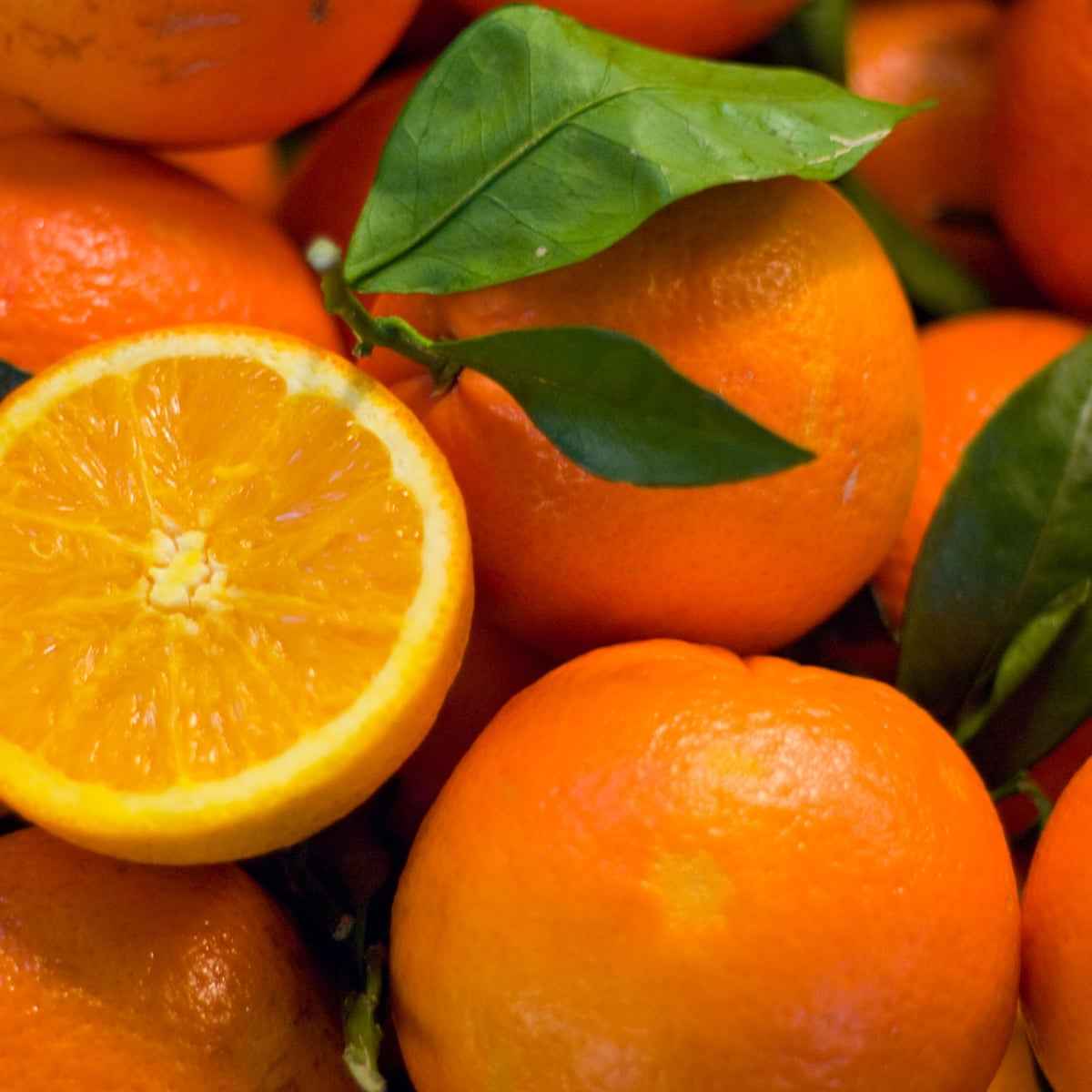FLORIDA ORANGE
