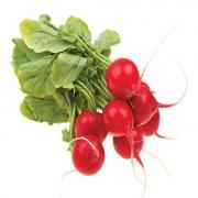 FRESH RADISHES