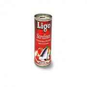 LIGO SARDINE IN TOMATO CHIL SC