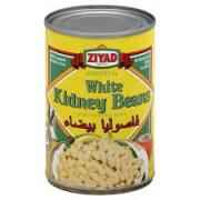 ZIYAD WHITE CNNELL KIDNEY BEAN