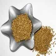 ASLI CORIANDER SEED
