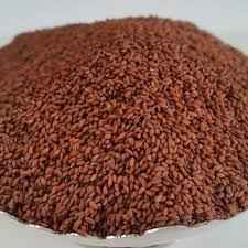 MAYZANA CRESS SEEDS
