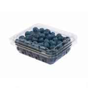 BLUEBRRRIES
