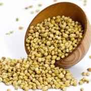 TAJ Premium Indian Coriander Seeds (Dhania)
