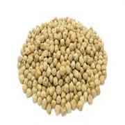 TAJ Premium Indian Kabuli Chana Dried Garbanzo Beans (