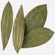 TAJ Premium Indian Bay Leaves (Tej Patta)