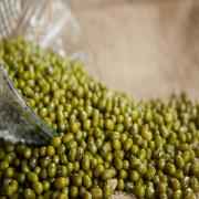 TAJ Premium Indian Moong Dal Whole Mung Beans