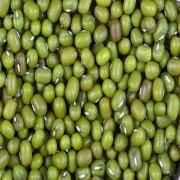 TAJ Premium Indian Moong Dal Whole Mung Beans