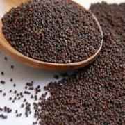 TAJ Premium Indian Mustard Seeds Rai Sason