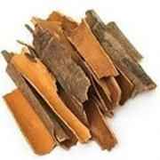 TAJ Premium Indian Cinnamon Stick Round Dalchini