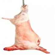 Halal Whole Goat