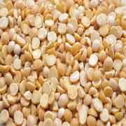 SURTI ROASTED DALIYA