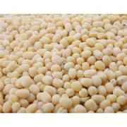 DEER URAD DAL