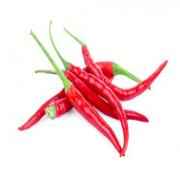 Thai Chilli