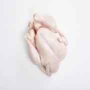 Whole Chicken Reg