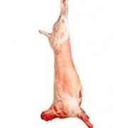 Whole Baby Lamb