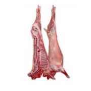 Half Baby Lamb