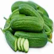 Cucumber Persian