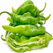 Cilly Long Hot