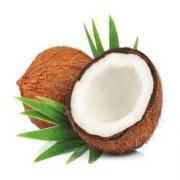 Coconut