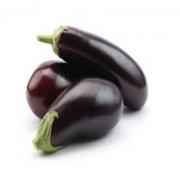 Egg Plant American
