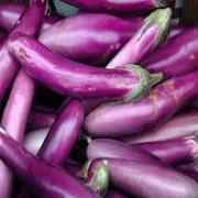 Egg Plant Chinese