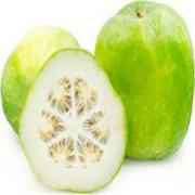 Winter Melon
