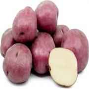 Potato Red