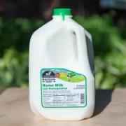 Berk Homo Milk