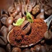 Organic Filter Coffee