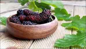 VP White Mulberry