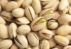 VP Pistachio
