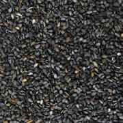 VP Sesame Seeds