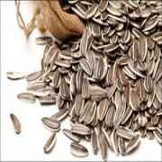VP Sunflower Seeds