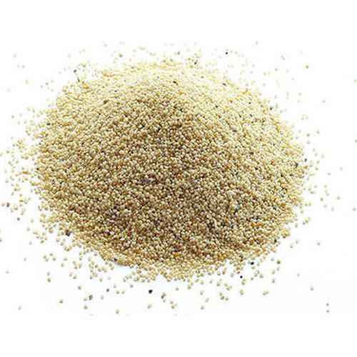 Poppy Seed