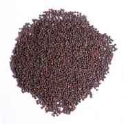 Mustard Seed
