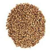 Organic Buckwheat