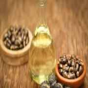 Dwaraka Org Castor Oil