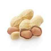 Shiva Peanuts