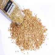Bytewise Coriander Seed