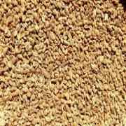 Khazana Org Ajwain Seed