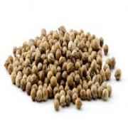 Org Coriander Seed