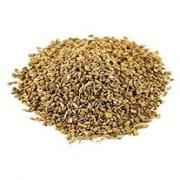 Ajwain Seed