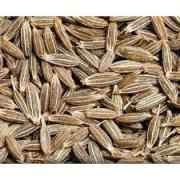 Cumin Seed