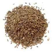 Dill Seed
